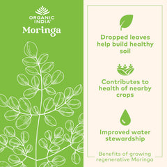 Organic India moringa capsules on a shelf, potential daytime energy support.