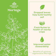 Organic India Moringa Powder packaging showing USDA Organic certification and rich nutrients.