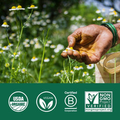 ORGANIC INDIA Neem capsules, label close-up with USDA Organic seal