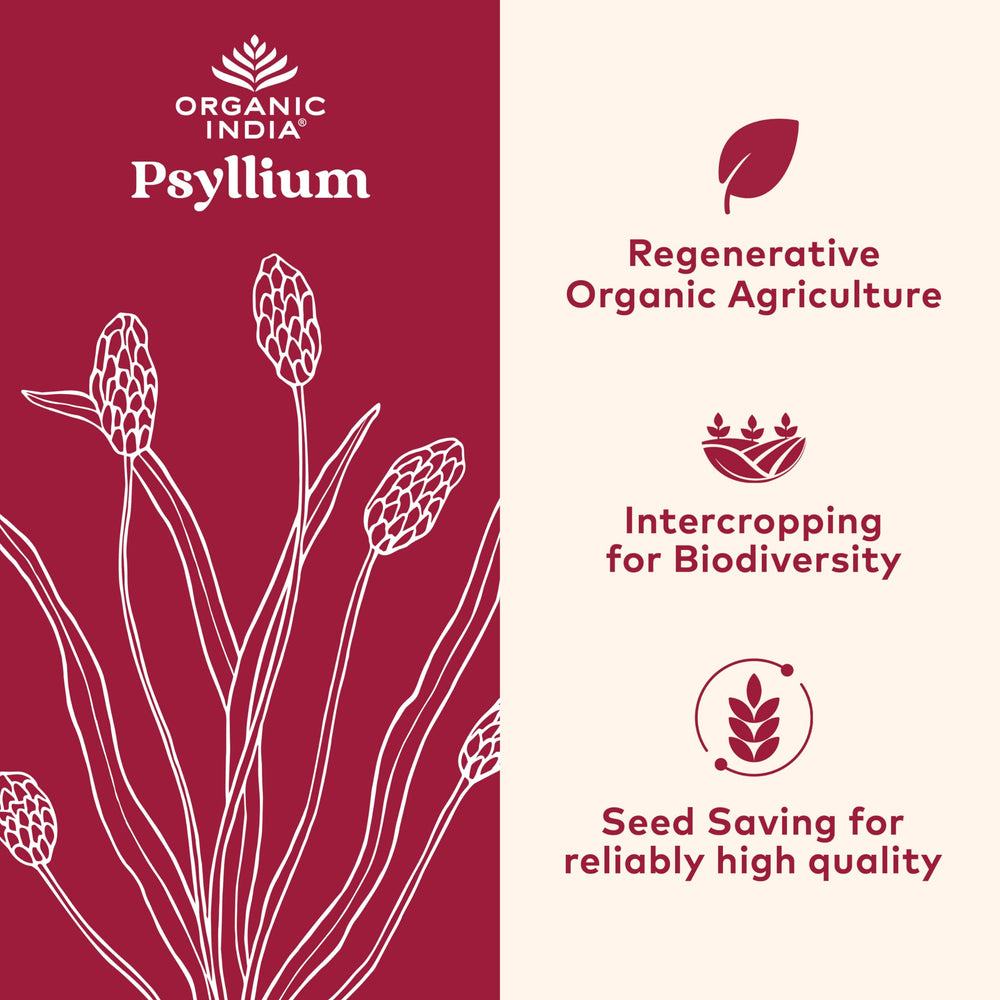 Organic India Psyllium powder dispensing bottle shows simple serving for fiber support