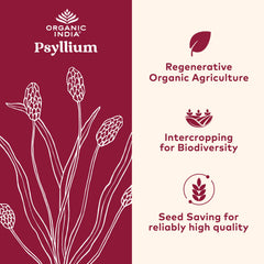 Close-up of ORGANIC INDIA Psyllium Powder jar highlighting organic fiber and purity.