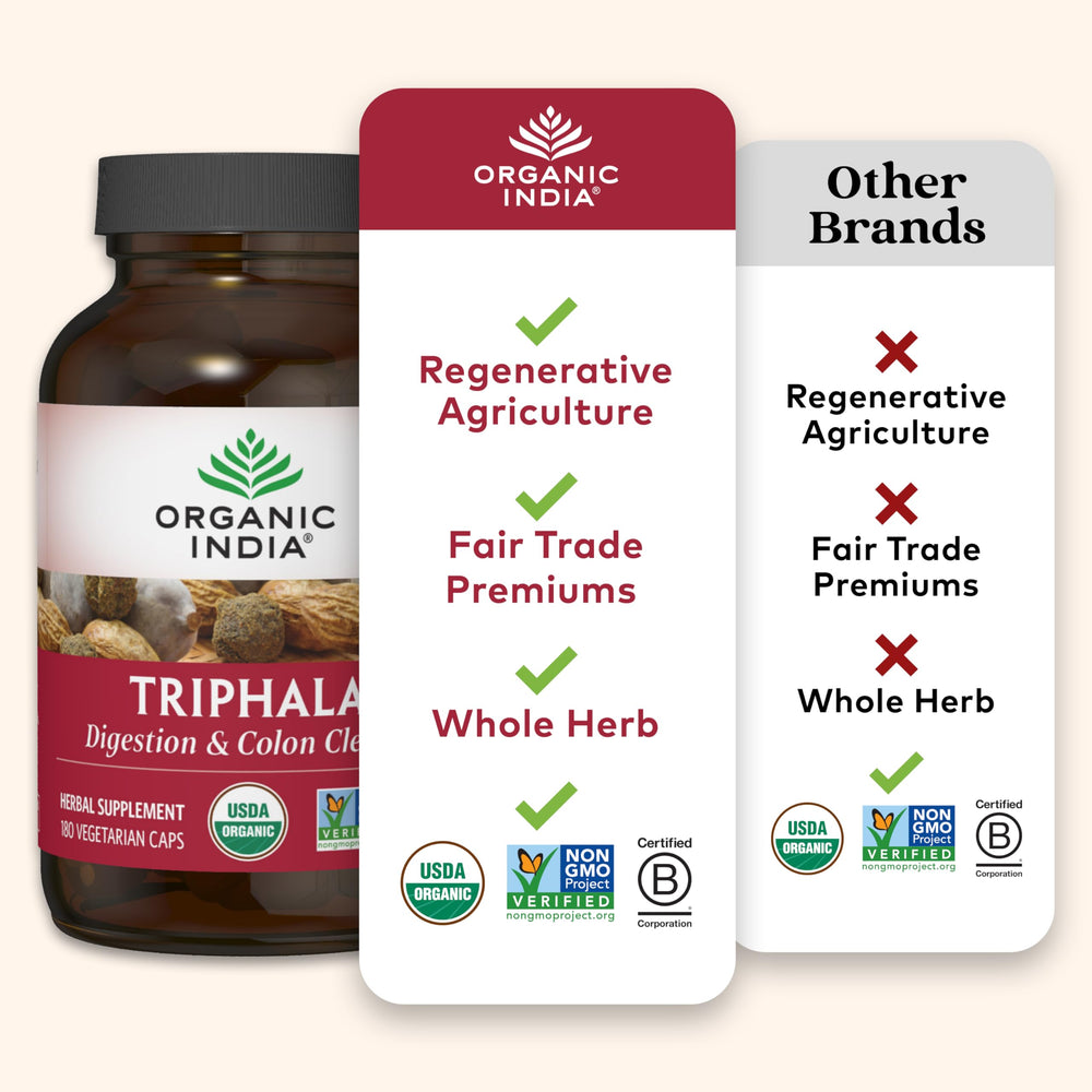 Triphala bottle on kitchen counter for routine use.