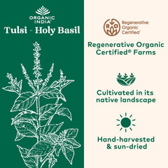 Organic India Tulsi capsules in hand for convenient daily routine