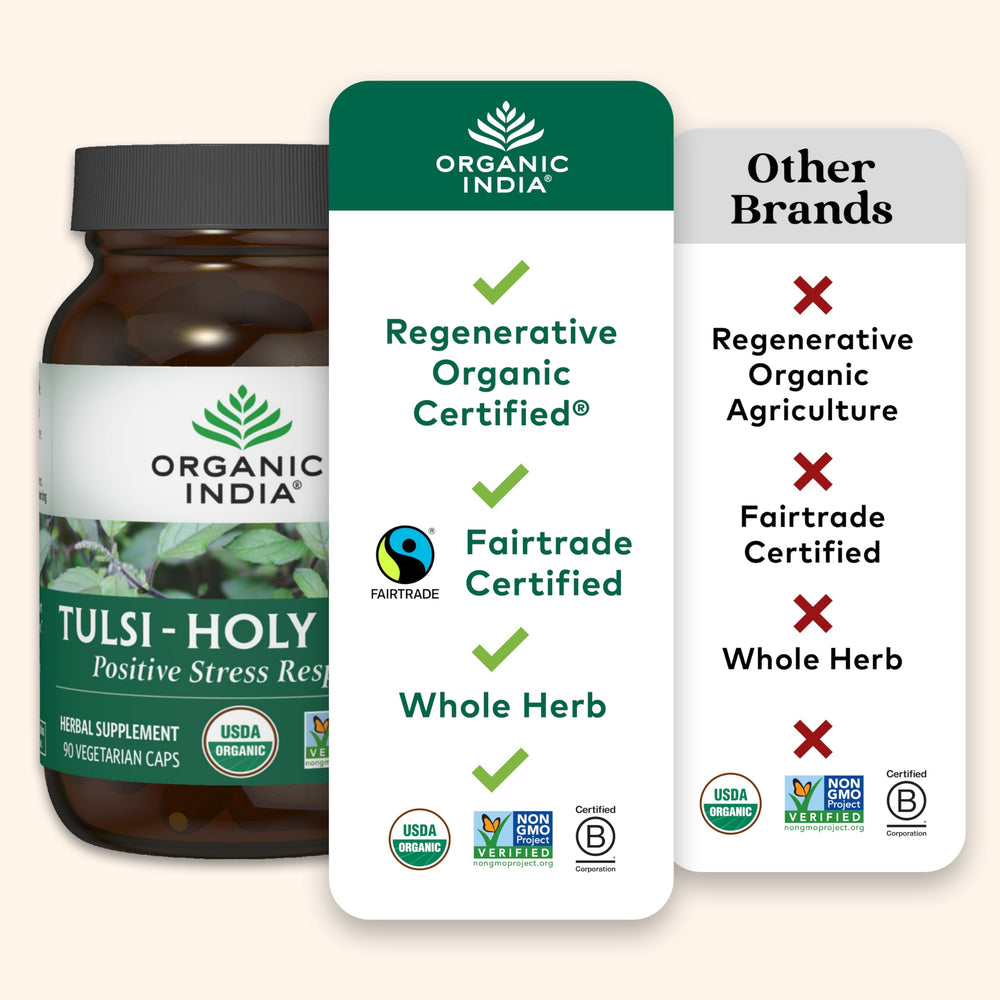 Organic India Tulsi tea brew in cup for mindful ritual