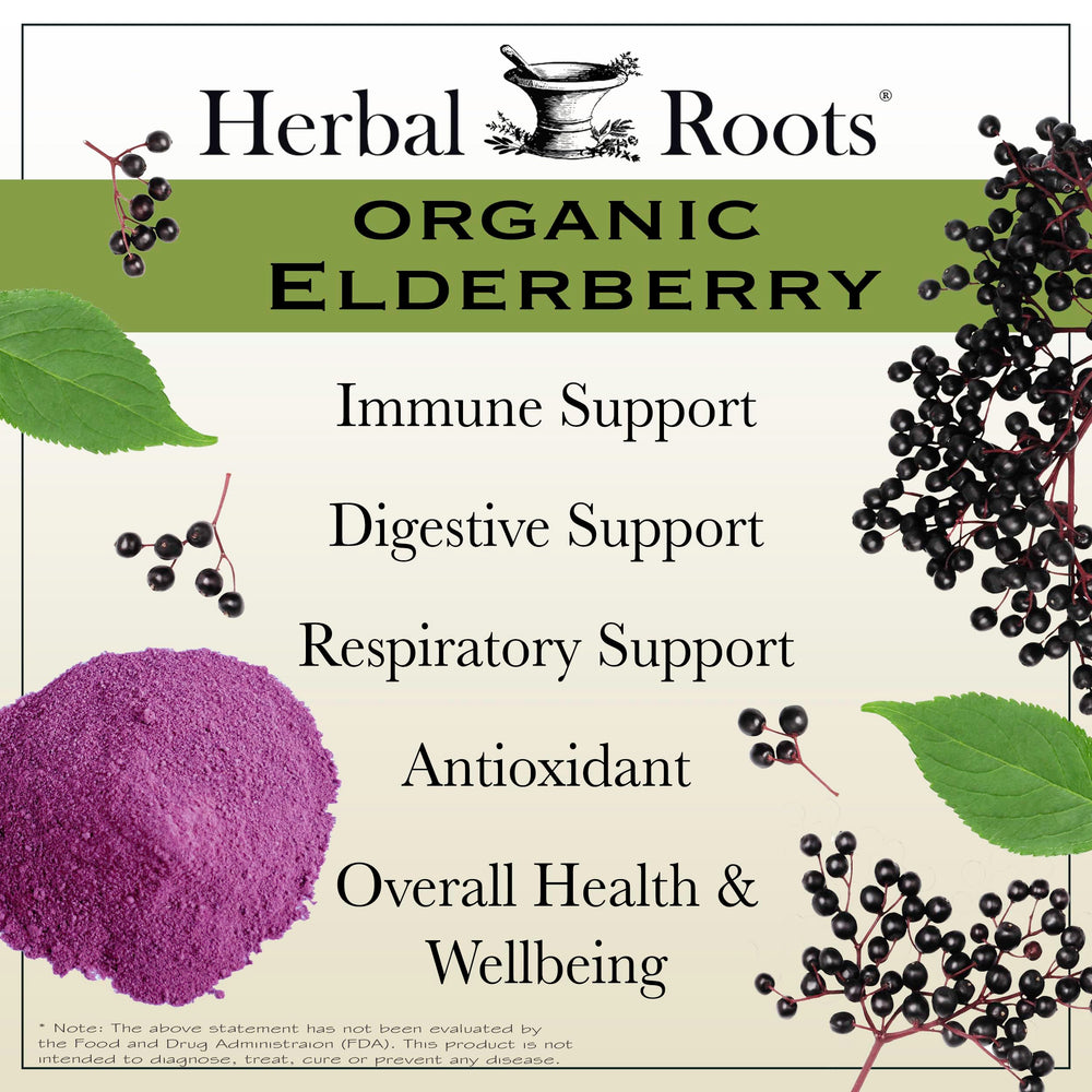 Organic Sambucus elderberry berries closeup illustrates natural source behind capsules.