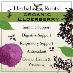 Organic Sambucus elderberry berries closeup illustrates natural source behind capsules.