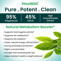 Organic Veda MetaGREENS serving spoon ready for convenient daily dose