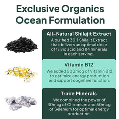 Organics Ocean Shilajit Gummies sourced from the Himalayas for high-potency extract.