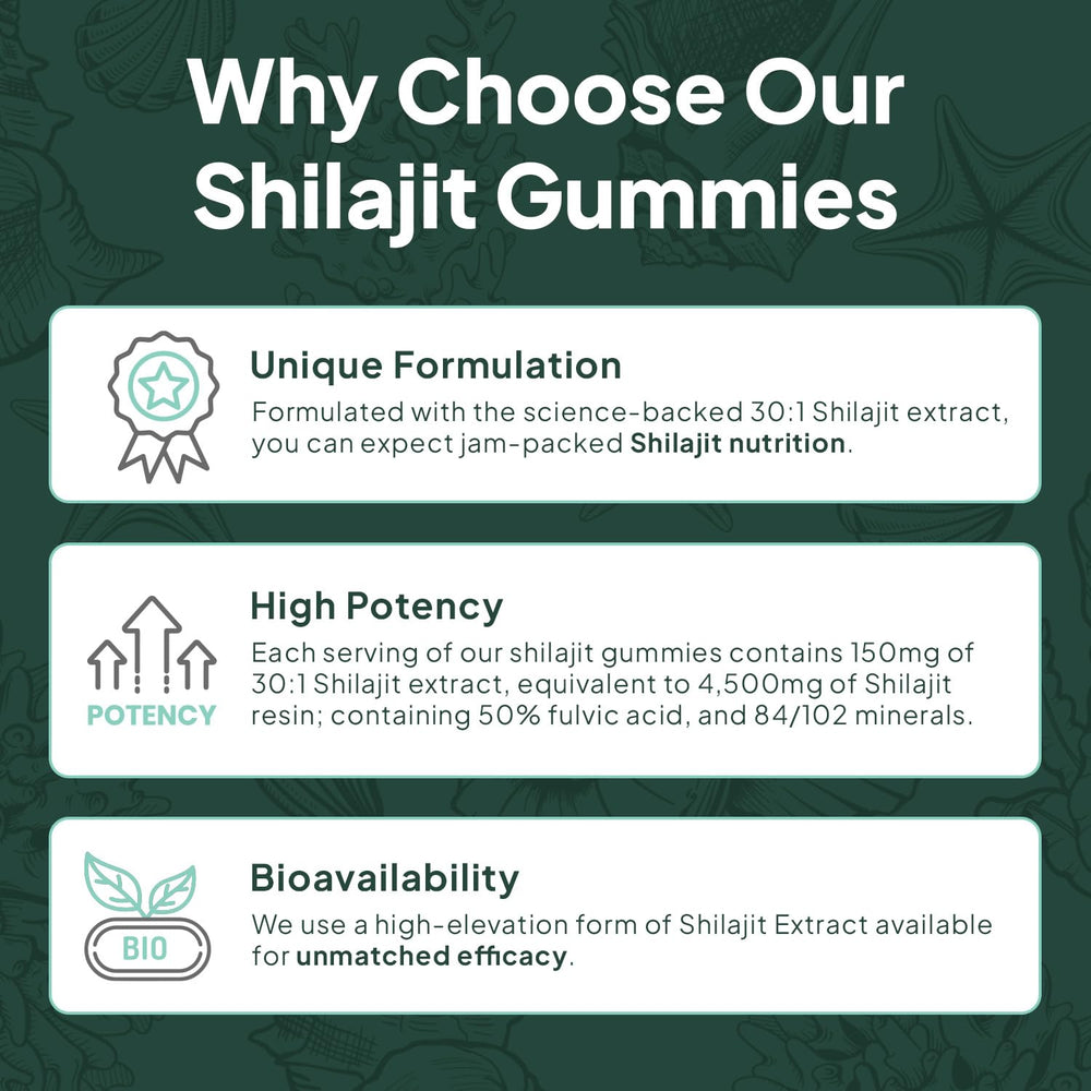 Organics Ocean Shilajit Gummies with vitamin B12 in a resealable package.