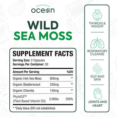 Closeup of Organics Ocean sea moss capsules.