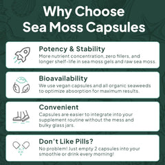 Organics Ocean serving-sized capsules for daily dosing.