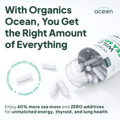Organics Ocean capsules spilled, suggesting an easy daily supplement routine.
