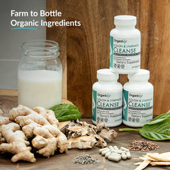 Organixx Digestive support illustration visualizes gut-friendly fermentation benefits.