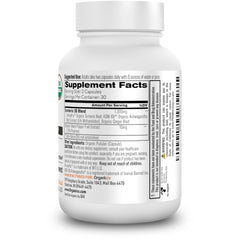 Organixx fermented turmeric formula ingredients bottle close-up with ginger and ashwagandha for digestive balance.