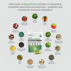 Scoop of Organixx Greens powder in a glass with a refreshing green drink