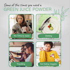Organixx Greens probiotic and digestive enzymes component for gut health