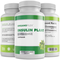 Organoplex Insulin Plant bottle with 360 veggie caps for daily wellness