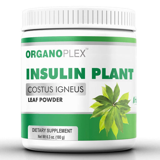 Organoplex Insulin Plant Powder bottle shown, a convenient daily supplement in a resealable jar.