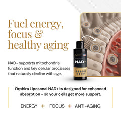 Orphira NAD+ 3-pack packaging shot emphasizes savings and convenience