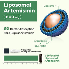 Osasuna quercetin phytosome bottle emphasizes high-bioavailability flavonoid support.