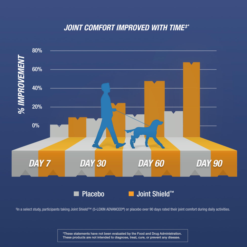Osteo Bi-Flex Ease in-use scene suggests integrating a daily routine.