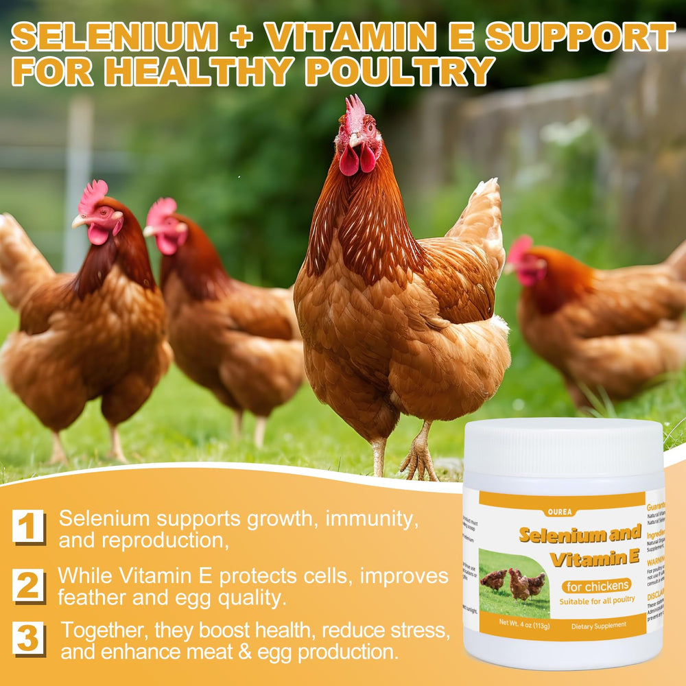 Ourea selenium and vitamin E powder for chickens in a bowl supports daily activity
