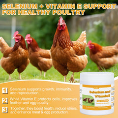 Ourea selenium and vitamin E powder for chickens in a bowl supports daily activity