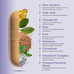 Ovalife 60-capsule supply supporting reproductive well-being.