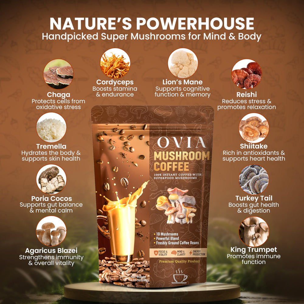 OVIA Yerba Focus and Night Calm blends on display for day-to-night options.