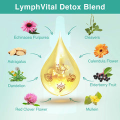 owegel Liposomal Lymphatic Drops ingredients blend with herbal botanicals.