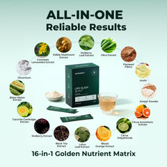 OxyEnergy LIPO Slash plant botanicals visual highlighting natural actives.
