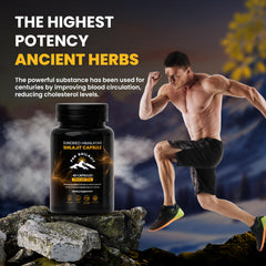 PakShilajit fulvic and humic acid content featured in capsules