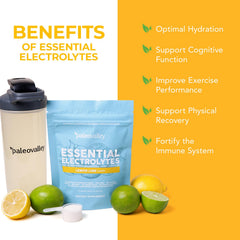 Paleovalley Essential Electrolytes Powder stirred in a glass for steady energy and recovery