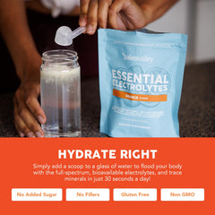 Paleovalley Electrolytes travel pack on a desk during a busy day