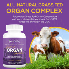 Paleovalley Heart and Kidney focus showcases CoQ10 and selenium support.