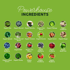 Paleovalley Organic Supergreens daily energy boost in tropical flavor