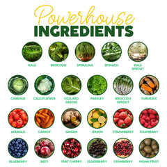Paleovalley Organic Supergreens dish-counter setup emphasizes pantry-ready convenience.