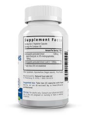 Palmara Health premium Andrographis gluten-free vegan formula for sensitive diets