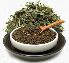 PALPLUS daily dosage pills image emphasizes a simple regimen.