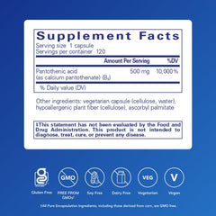 Pantothenic acid capsules closeup supporting daily energy.