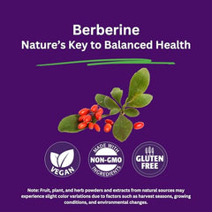 Paradise Herbs Berberine capsules 180-count display for easy daily use
