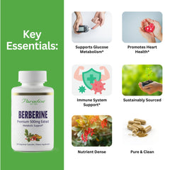 Paradise Herbs Berberine natural ingredients illustration highlights full-spectrum phytonutrients
