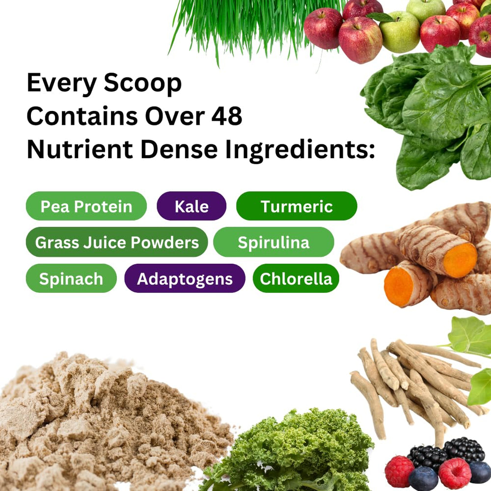 Paradise Herbs ORAC Energy Protein & Greens spoon for easy serving.