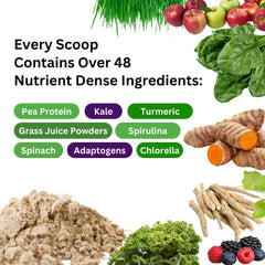 Paradise Herbs ORAC Energy Protein & Greens spoon for easy serving.