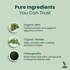Parmint underarm odor support context showing discreet internal freshness routine.