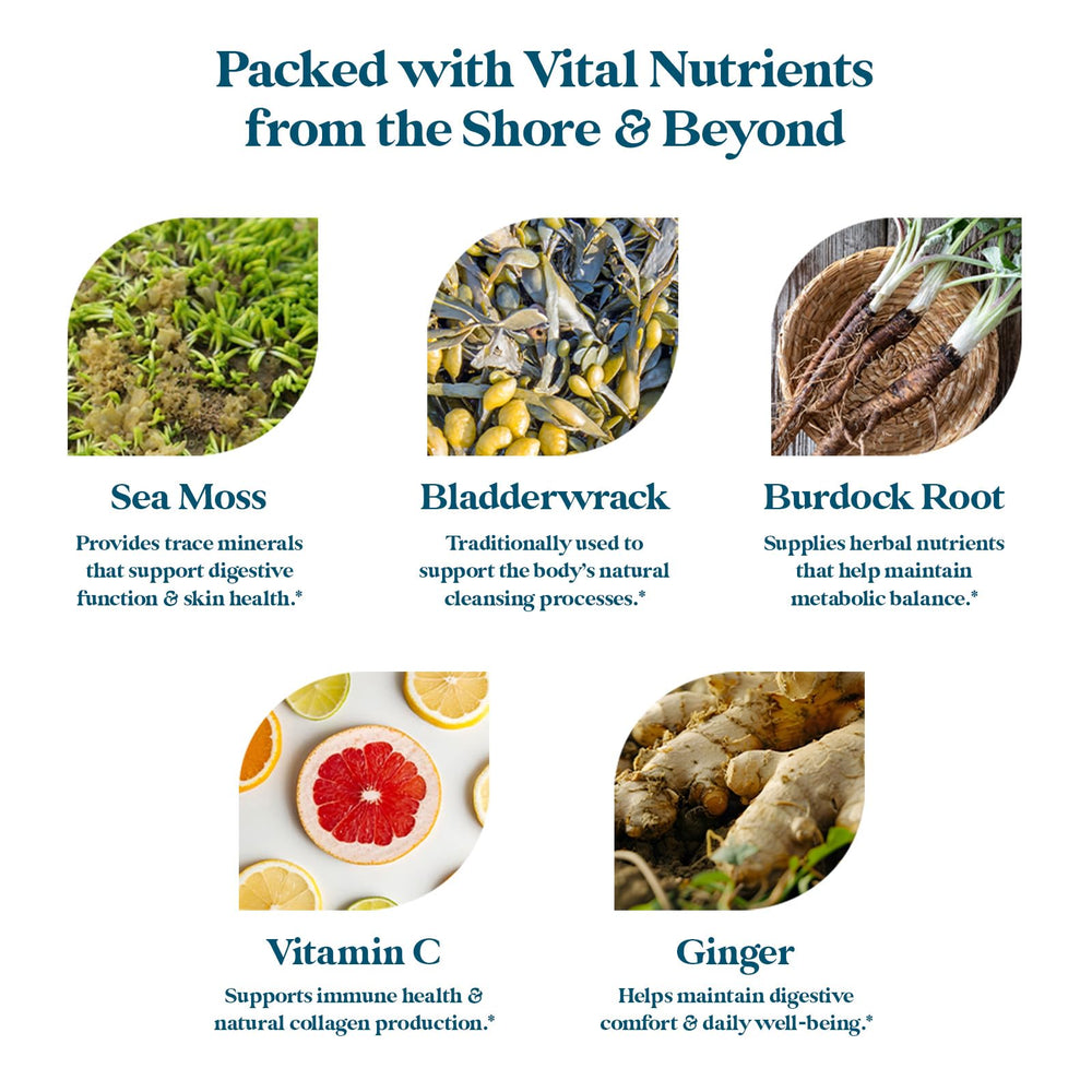 Pattern Wellness Sea Moss Complex natural ingredients image with burdock, bladderwrack, ginger.