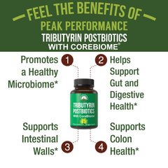 Peak Performance CoreBiome Tributyrin microbiome graph illustrates potential support for balanced gut flora.