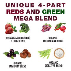 Peak Performance Kids Greens and Reds powder scoop ready for quick add-to-drink.