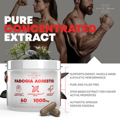 Peak Revival-X American-made seal signaling high manufacturing standards.