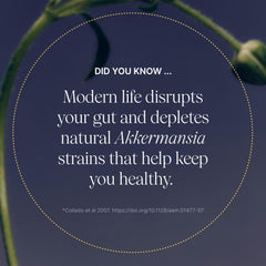 Pendulum delayed-release capsules shown for steady daily gut balance.